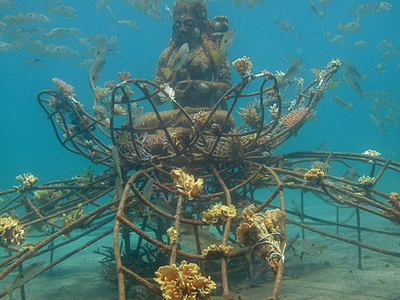 弱電流でサンゴ復活、観光業や漁業も活性化