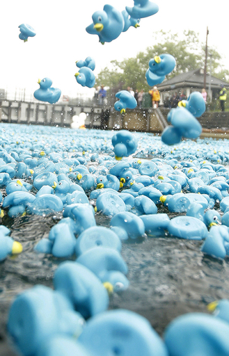 英テムズ川にアヒルが25万匹！？ゴム製おもちゃのダックレース