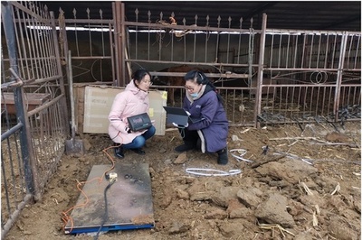 大学の知能で農村振興を支える 中国