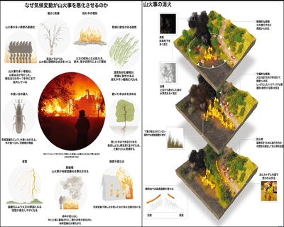 【図解】なぜ気候変動が山火事を悪化させるのか