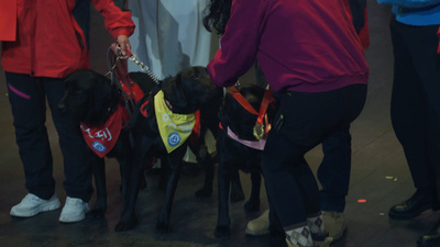 中国で自閉症補助犬の卒業式 「星の子」たちのパートナーに