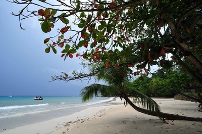 団結か水没か、小島しょ国の気候変動サミット開催