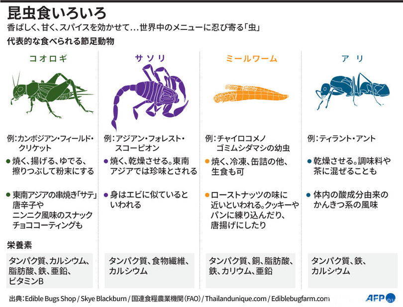 図解 昆虫食のいろいろ 写真7枚 国際ニュース Afpbb News