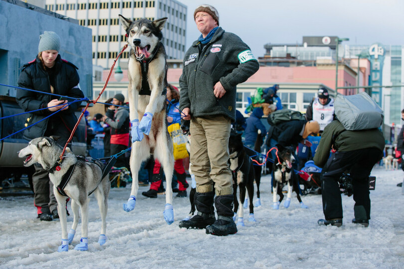 女性犬ぞり師の本多さん、1600キロの米レースを無事完走