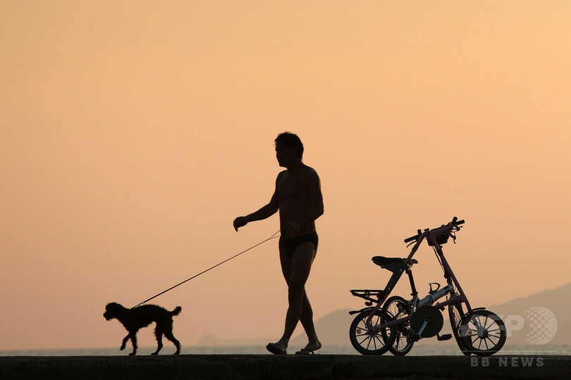 散歩中の犬がお手柄 脱獄トンネル嗅ぎつける ギリシャ 写真1枚 国際ニュース Afpbb News