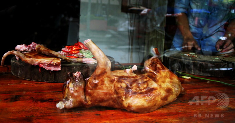 ベトナムで根強い猫肉食の習慣、飼い主は捕獲リスクに戦々恐々