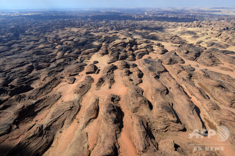 砂漠で餌をさがすゾウ サウジアラビアの巨石 写真12枚 国際ニュース Afpbb News
