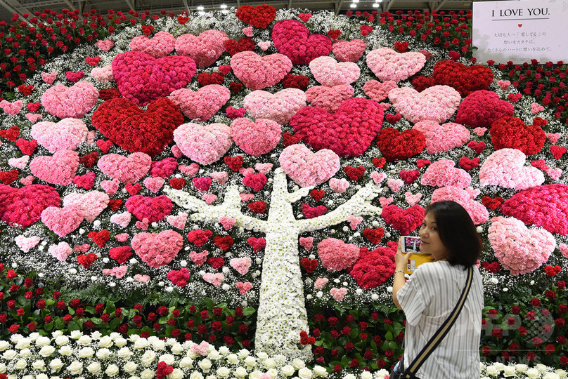 最期まで自分らしく… 祭壇にハートや波、招き猫も 横浜で葬祭展 写真9枚 国際ニュース：AFPBB News