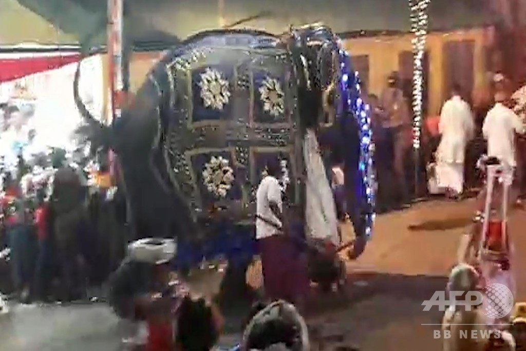 祭りでゾウ2頭が暴走、17人負傷 スリランカ 祭りでゾウ2頭が暴走、17人負傷 スリランカ