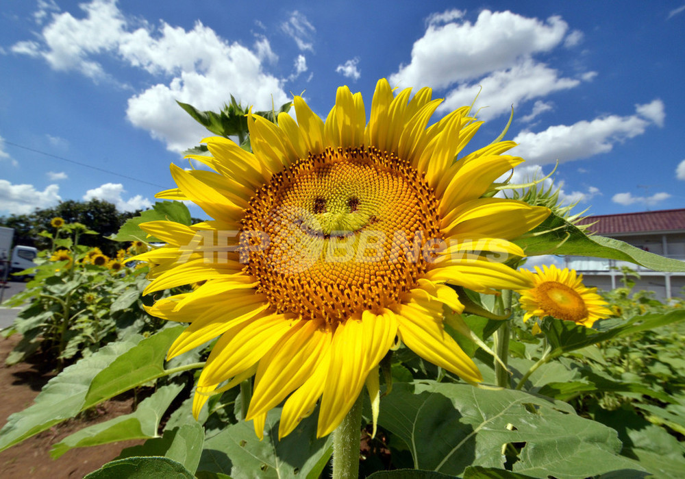 img_5129c27a033ac5627c08b3156a