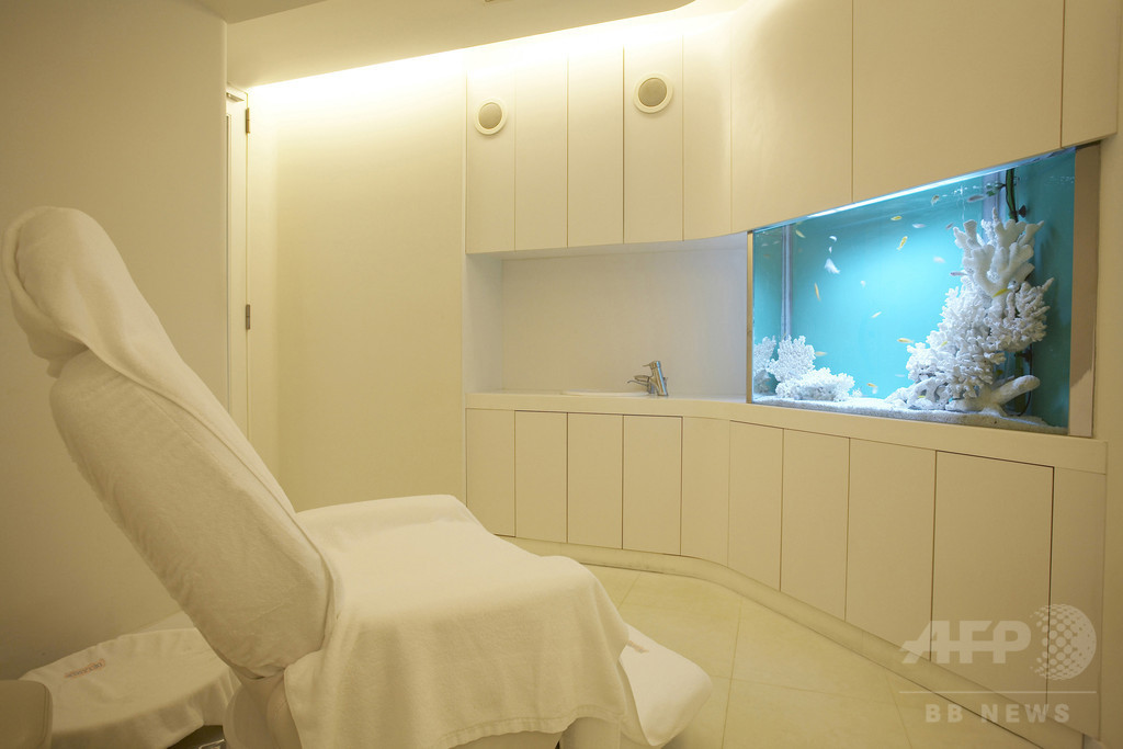 未体験の人、必見！ 1日5組限定の「ドゥ･ラ･メール」期間限定メニュー