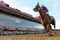 米国競馬のG1レース、第139回プリークネス・ステークス（139th Preakness Stakes、3歳、ダート約1900メートル）。カリフォルニアクローム（California Chrome）を駆るビクター・エスピノーザ（Victor Espinoza）騎手（2014年5月17日撮影）。(c)AFP/Getty Images/Rob Carr