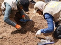 イラク中部ナジャフで行われた集団埋葬地の調査の様子（2022年5月18日撮影）。(c)Qassem al-KAABI / AFP
