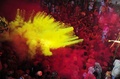 インド・バルサナ（Barsana）にあるラーダー・ラニ寺院（Radha Rani Temple）で21日、春を迎える祭り「Lathmar Holi」が催され、人々がカラフルな粉や水を掛け合った。ヒンズー教の春の祭典「ホーリー（Holi）」は今年は3月27日に行われるが、バーサーナには一足早く、地元版の「Lathmar Holi」で春を祝う習わしがある（2013年3月21日撮影）。(c)AFP/Sanjay Kanojia