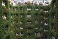 パリ（Paris）・モンテーニュ通り（Avenue Montaigne）にある老舗ホテル「プラザ・アテネ（Plaza Athenee）」の中庭に面するバルコニーで記念撮影をする従業員ら（2013年10月1日撮影）。(c)AFP/FRED DUFOUR