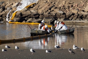 米カリフォルニア州沖で原油流出 生態系に影響