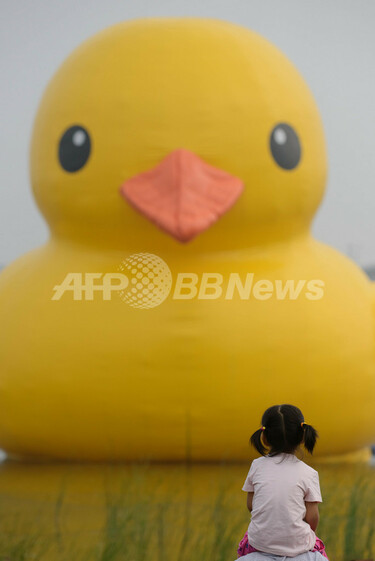 可愛いすぎる巨大アヒルさんのオブジェ¨*•.¸♡ママと我が子( ´﹀` ٥ ) 巨大アヒル、本物がついに中国初登場！ただし観覧は有料 写真7枚 国際