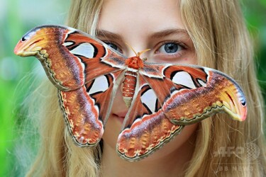 世界最大級のガとツーショット、チェコの植物園 写真7枚 国際ニュース