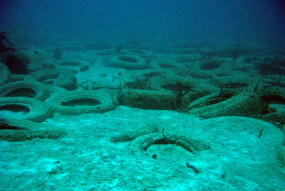 廃タイヤの人工魚礁、狙い外れ海洋環境に悪影響