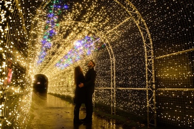 キュー王立植物園でクリスマスイルミネーション点灯、英国