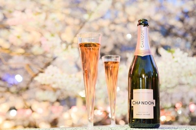「シャンドン ロゼ」と一緒に桜を楽しむ、「お花見 CHANDON」今年も開催