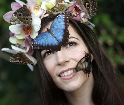 ロンドン郊外にチョウのパラダイス、庭園温室に6000匹