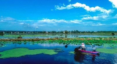 ザリガニ、「有害生物」からの脱皮 湖北・潜江市の取り組み
