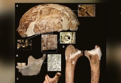 中国南部の馬鹿洞人DNA、古いアメリカ先住民のゲノムとの類似点が発見