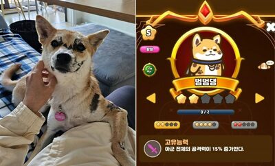 韓国・奇跡の山火事生還犬「ポムポム」、ゲーム界最強キャラとして新たな人生へ