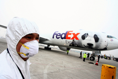 米国生まれのパンダ2頭、中国に到着