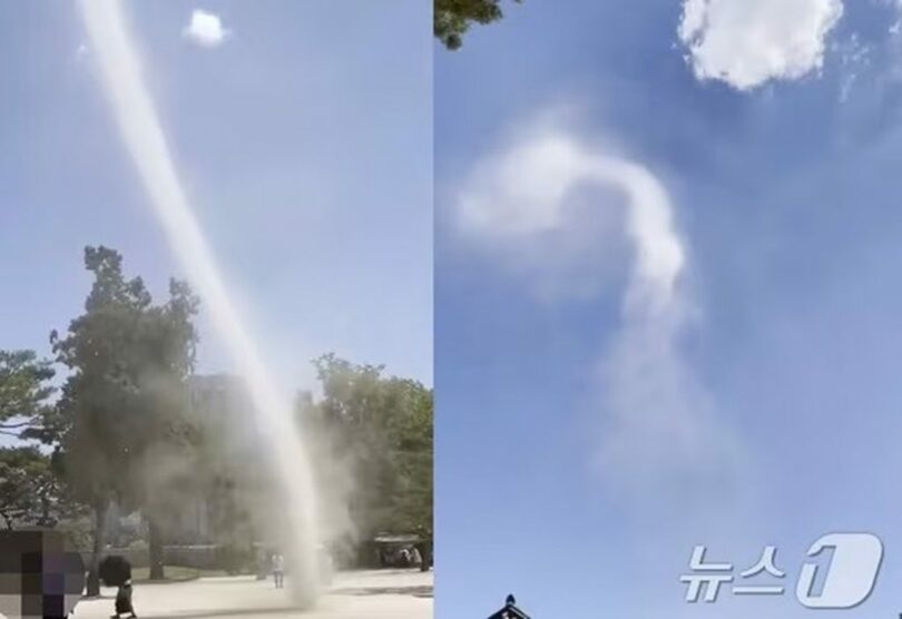 SNSキャプチャー(c)news1