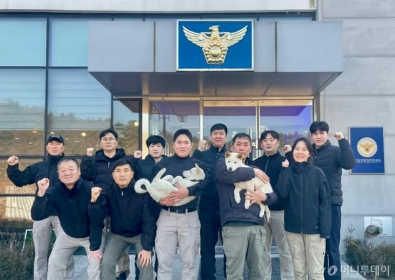 訓練センターの関係者に抱えられる韓国産の警察犬候補「イムフェ」と「サンマン」(c)MONEYTODAY