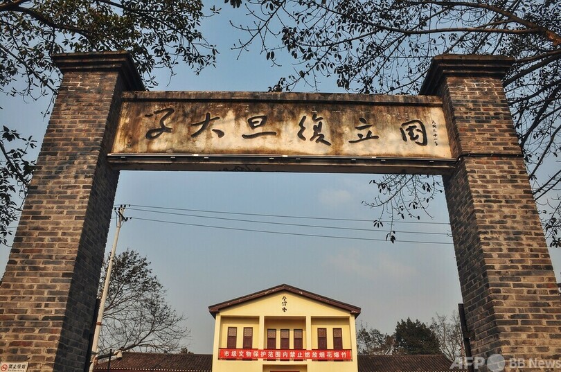 「親のすねをかじれる若者は大学卒業後しばらくそうすればいい」復旦大学教授の考えが議論の的に