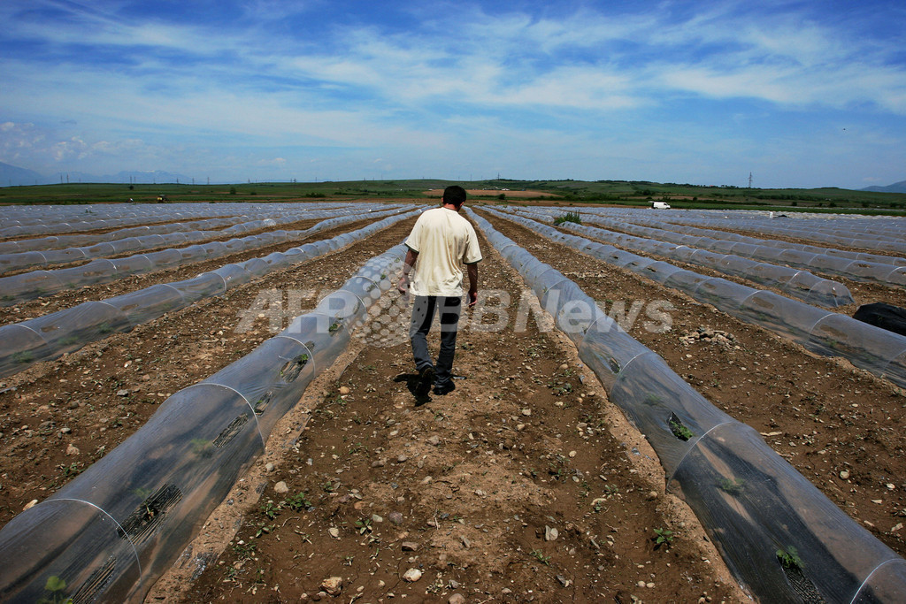 コソボ自治州独立をめぐる国連決議案の採決を延期 写真1枚 国際ニュース：AFPBB News