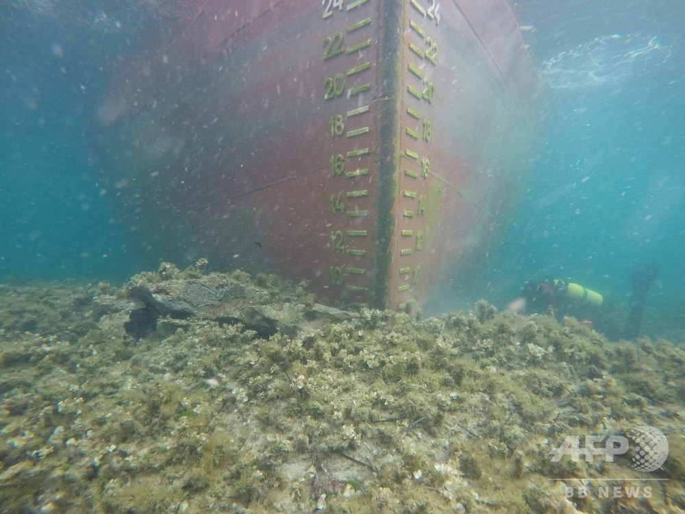 仏コルシカ島沖の海洋保護区で貨物船座礁 重油流出はなし 写真8枚 国際ニュース Afpbb News