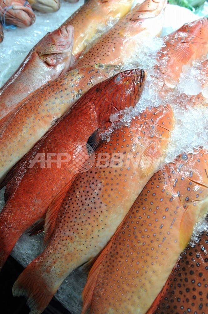 魚を食べる人 は長生き 米研究 写真1枚 国際ニュース Afpbb News