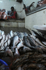 インド・ニューデリー（New Delhi）の市場で、客を待つ鮮魚店の店員。（2008年4月13日撮影）(c)AFP/Anna ZIEMINSKI