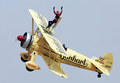 2008年1月27日、アラブ首長国連邦（UAE）のアルアイン（Al-Ain）の空港で開かれた国際航空ショー「International Aerobatics Show」で飛行機の主翼の上に立つ空中スタントを見せるリトアニアのJurgis Kairysチーム。(c)AFP/Karim SAHIB