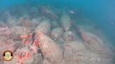 大量の素焼き容器積んだ古代ローマの沈没船発見 ワイン運搬か 伊シチリア