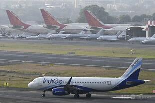 インド行き旅客機に生きたヘビ16匹、 野生生物押収は今月3回目