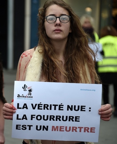 「毛皮を買わないで」寒空の下 パンツ一枚で抗議、フランス