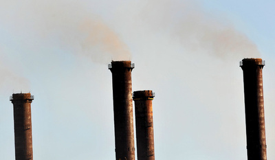 気候変動で生物種6分の1に絶滅リスク、米研究