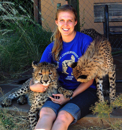 死んだ母チーターから取り出された兄弟3頭、元気に育つ ナミビア