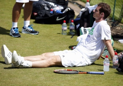 マレー、ウィンブルドン前日に犬を救出