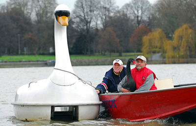 ドイツのスワンボートに恋したコクチョウ、いつも一緒でホットな冬を
