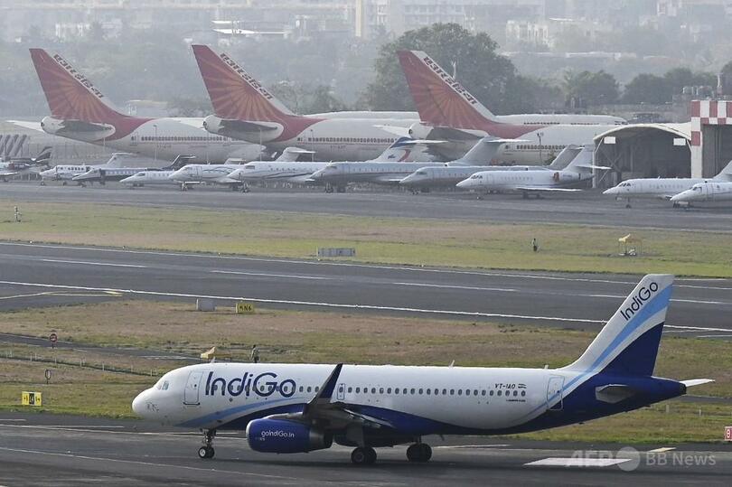 インド行き旅客機に生きたヘビ16匹、 野生生物押収は今月3回目