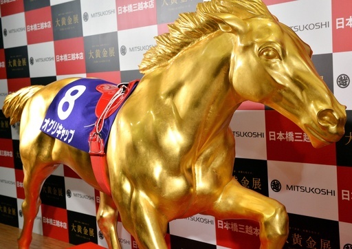 武豊とオグリキャップの「黄金」コンビ復活、東京 写真7枚 国際