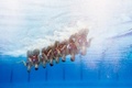 スペイン・バルセロナ（Barcelona）で開催されている第15回世界水泳選手権（15th FINA World Championships）。水中カメラで撮影されたシンクロナイズドスイミング・チームの演技の様子。

チームテクニカルルーティン（TR）予選で演技するカナダの選手（2013年7月20日撮影）。(c)AFP/FRANCOIS XAVIER MARIT