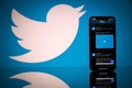 スマートフォンとタブレット端末の画面に表示されたツイッターのロゴ（2020年10月26日撮影、資料写真）。(c)Lionel BONAVENTURE / AFP