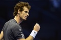 男子テニス、バレンシア・オープン（Valencia Open 2014）シングルス準々決勝。ポイントを奪い歓喜するアンディ・マレー（Andy Murray、2014年10月24日撮影）。(c)AFP/JOSE JORDAN